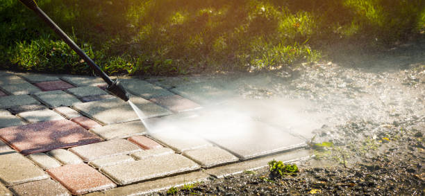 Best Factory Floor Cleaning  in Orlovista, FL